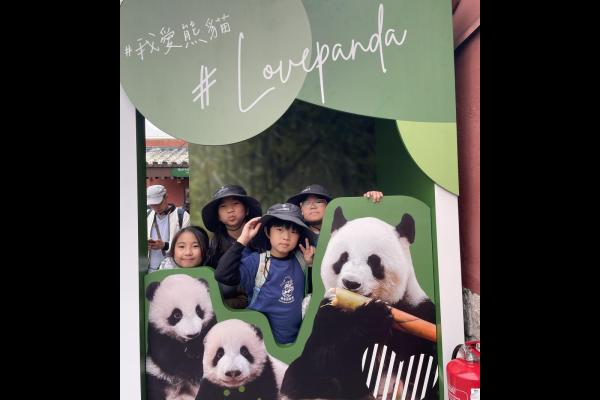 參觀大熊貓之旅