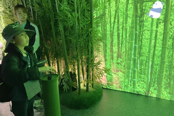 體驗大熊貓「竹」夢之旅互動學習區